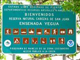 Ensenada Yegua - FAJARDO